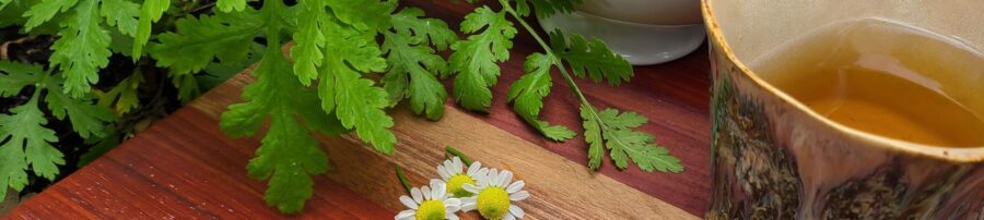 Tea with fresh herbs