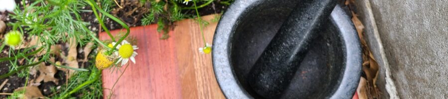 Mortar and pestle with fresh herbs