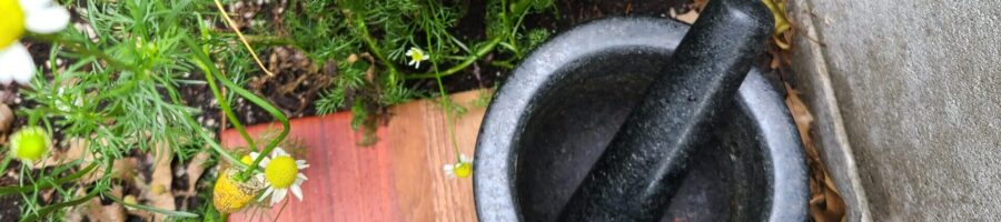Mortar and pestle with fresh herbs