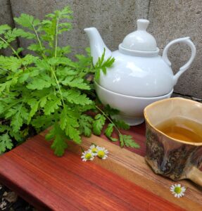 Tea with fresh herbs