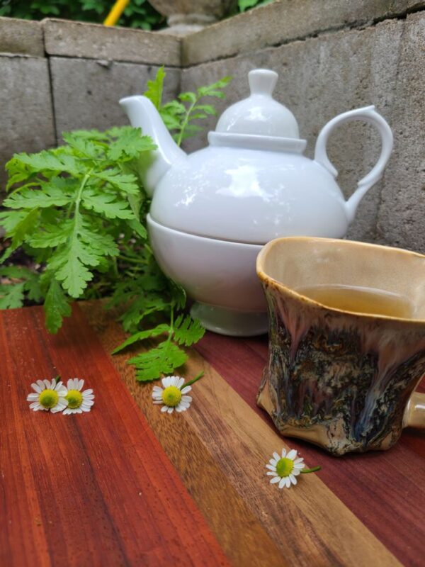 Herbal Tea Photo