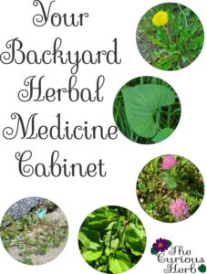 Backyard Herbal Medicine Cabinet cover photo